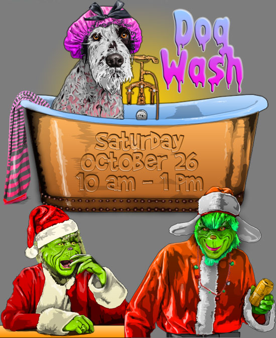 Dog Wash